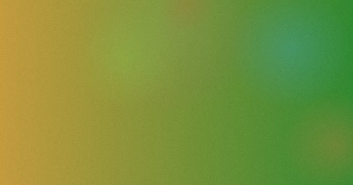 杉杉来了电视剧是什么